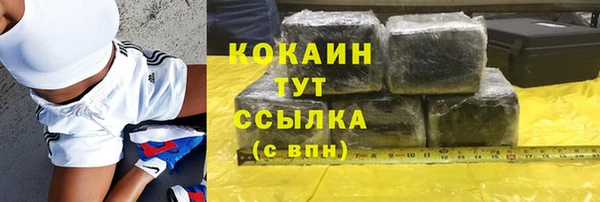 твердый Дмитровск