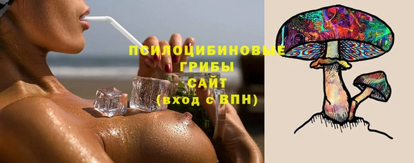 твердый Дмитровск