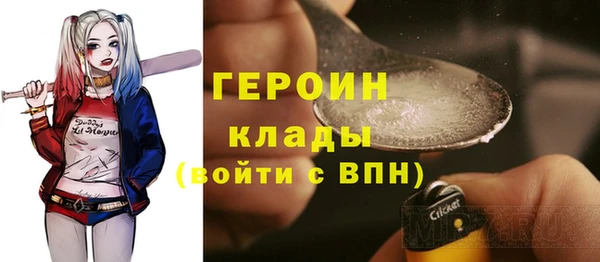 твердый Дмитровск