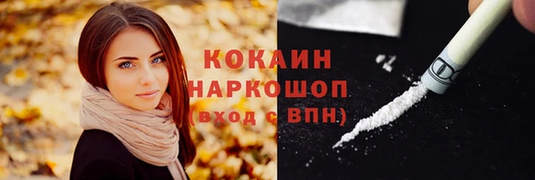 дурь Дмитриев