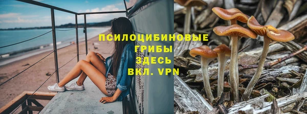 дурь Дмитриев