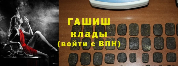 твердый Дмитровск