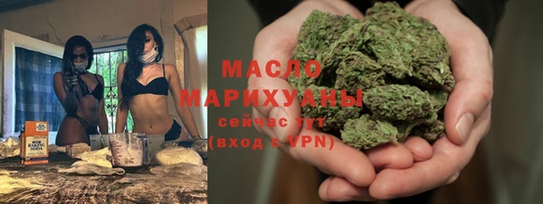 твердый Дмитровск