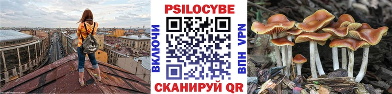 Галлюциногенные грибы GOLDEN TEACHER Волгодонск